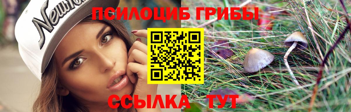 Псилоцибиновые грибы прущие грибы  Галлюциногенные грибы Psilocybine cubensis  Юрга  Вход с VPN 